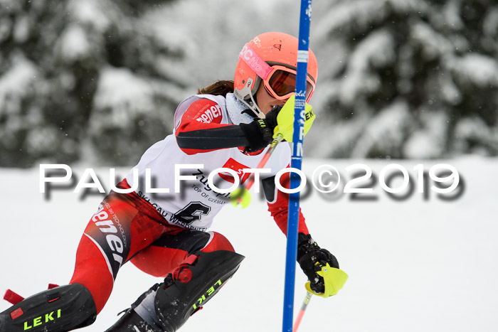 3. BZB Cup SL 13.01.2019, U'gau