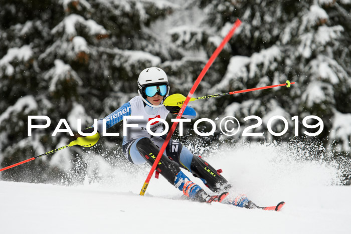 3. BZB Cup SL 13.01.2019, U'gau