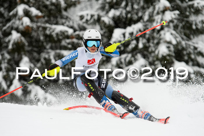 3. BZB Cup SL 13.01.2019, U'gau