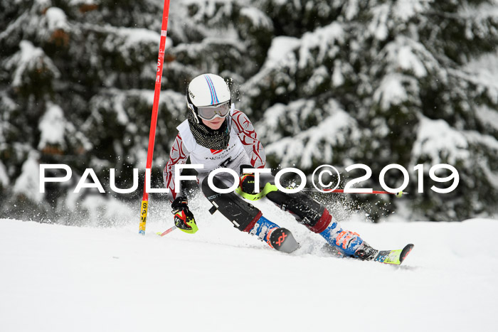 3. BZB Cup SL 13.01.2019, U'gau