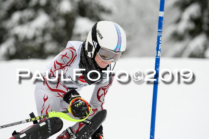 3. BZB Cup SL 13.01.2019, U'gau