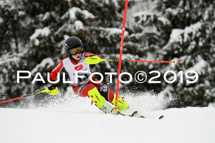 3. BZB Cup SL 13.01.2019, U'gau