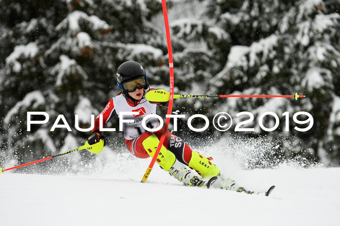 3. BZB Cup SL 13.01.2019, U'gau
