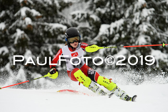 3. BZB Cup SL 13.01.2019, U'gau