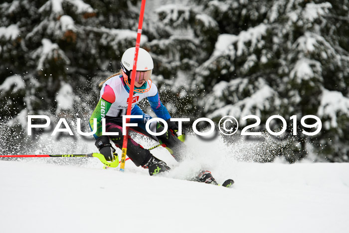 3. BZB Cup SL 13.01.2019, U'gau
