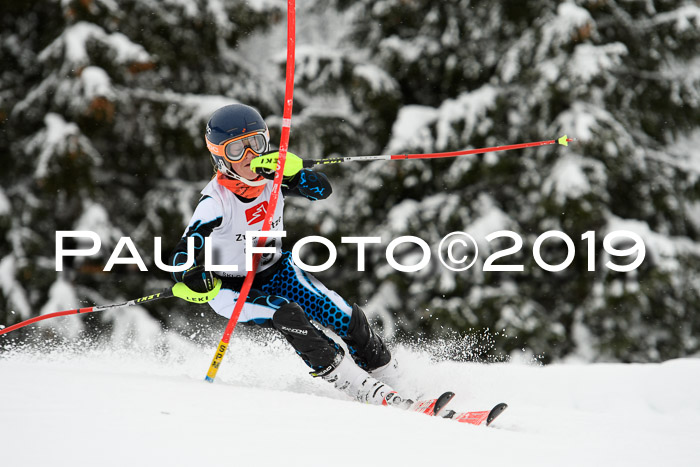 3. BZB Cup SL 13.01.2019, U'gau