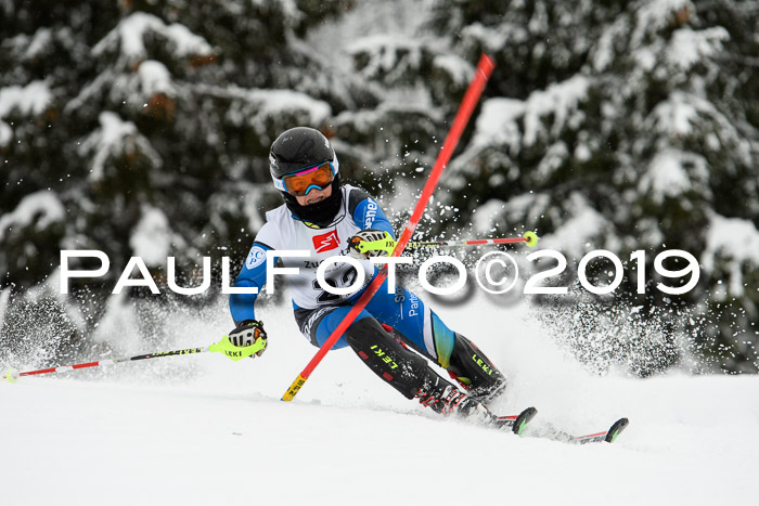 3. BZB Cup SL 13.01.2019, U'gau