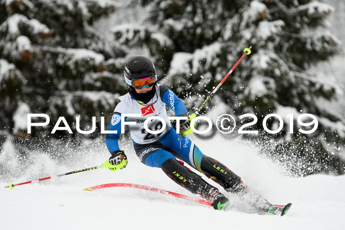 3. BZB Cup SL 13.01.2019, U'gau