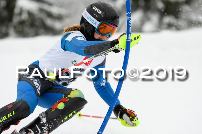 3. BZB Cup SL 13.01.2019, U'gau