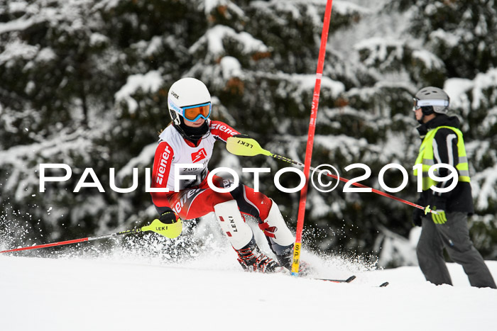 3. BZB Cup SL 13.01.2019, U'gau