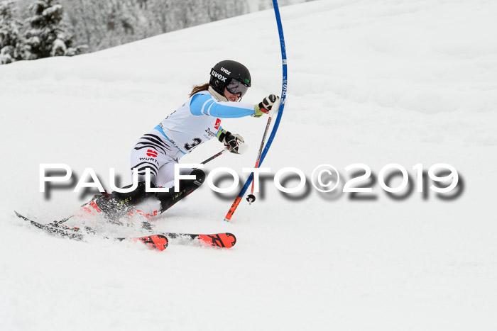 3. BZB Cup SL 13.01.2019, U'gau