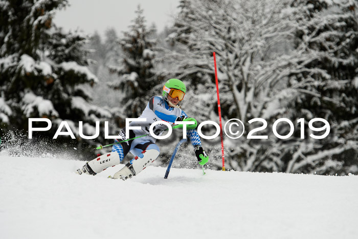 3. BZB Cup SL 13.01.2019, U'gau