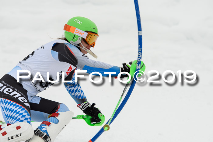 3. BZB Cup SL 13.01.2019, U'gau