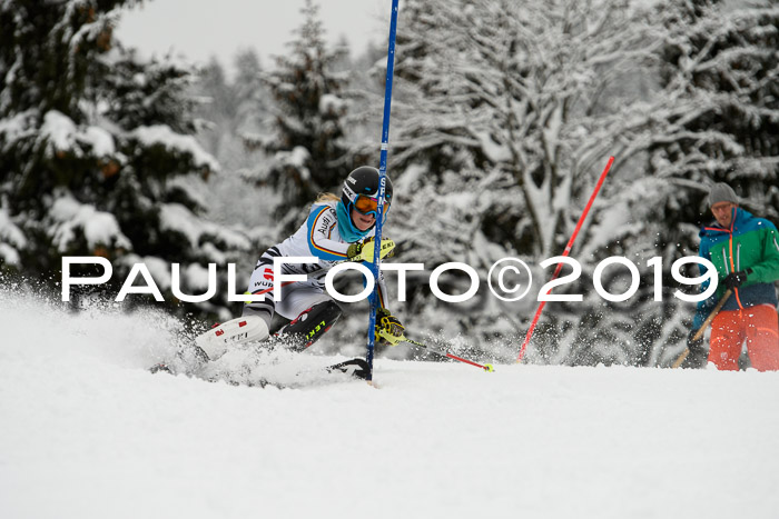 3. BZB Cup SL 13.01.2019, U'gau