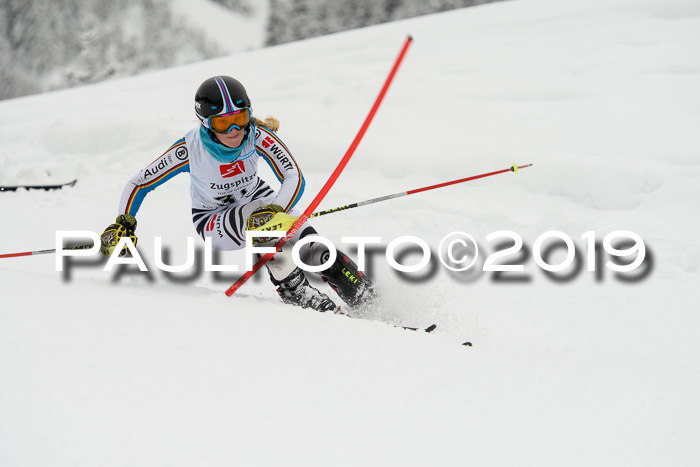 3. BZB Cup SL 13.01.2019, U'gau