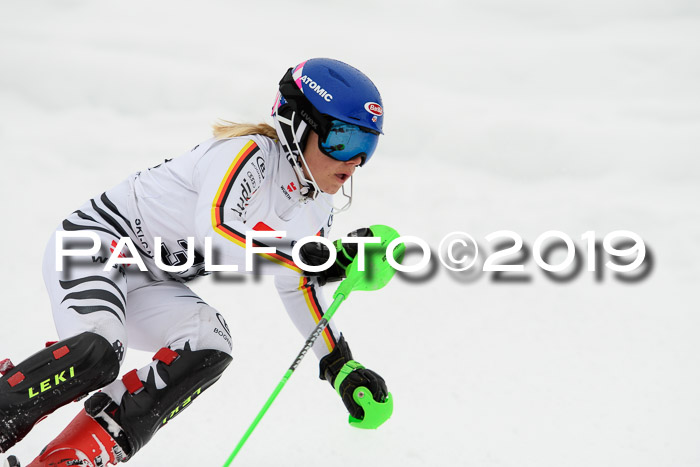3. BZB Cup SL 13.01.2019, U'gau