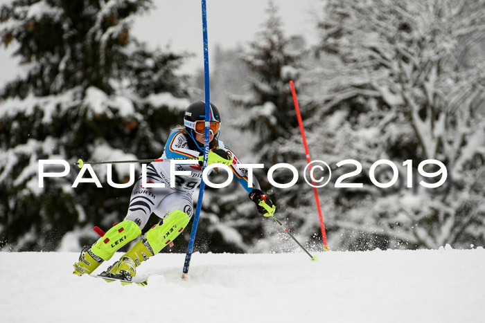 3. BZB Cup SL 13.01.2019, U'gau