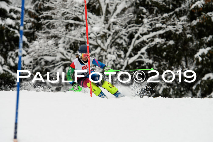 3. BZB Cup SL 13.01.2019, U'gau