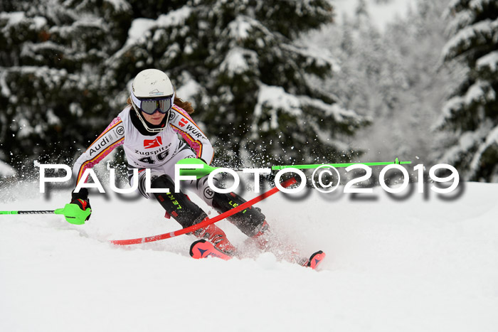 3. BZB Cup SL 13.01.2019, U'gau