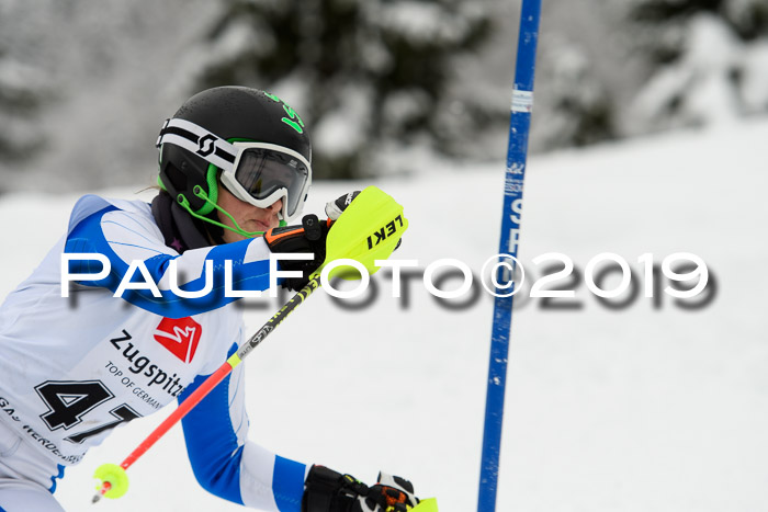3. BZB Cup SL 13.01.2019, U'gau