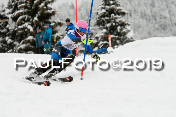 3. BZB Cup SL 13.01.2019, U'gau