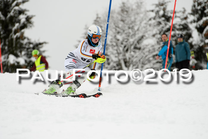 3. BZB Cup SL 13.01.2019, U'gau