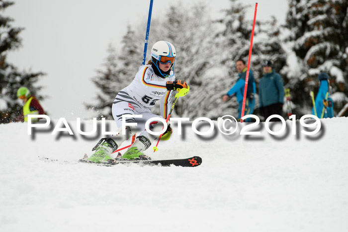 3. BZB Cup SL 13.01.2019, U'gau