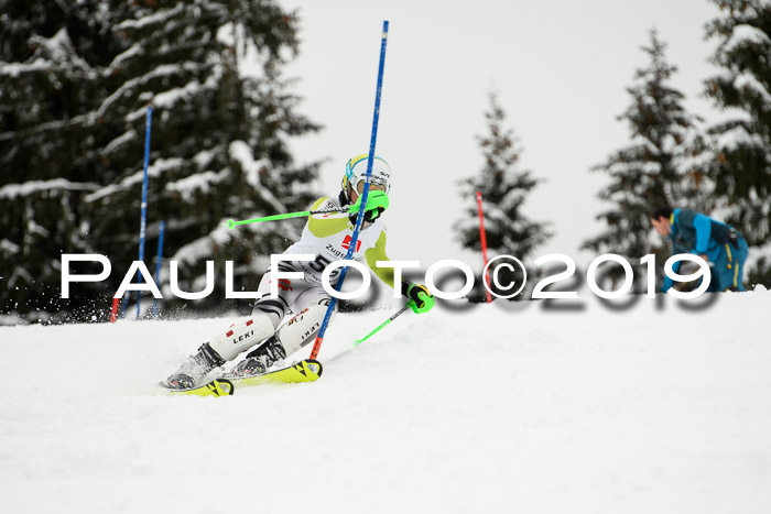 3. BZB Cup SL 13.01.2019, U'gau