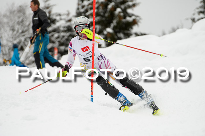 3. BZB Cup SL 13.01.2019, U'gau