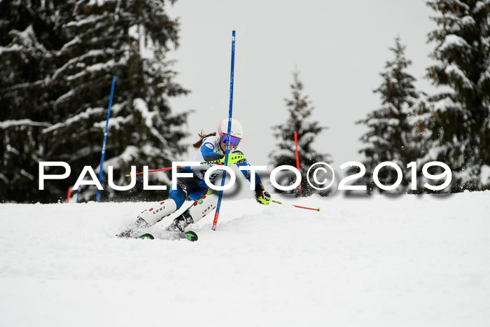 3. BZB Cup SL 13.01.2019, U'gau