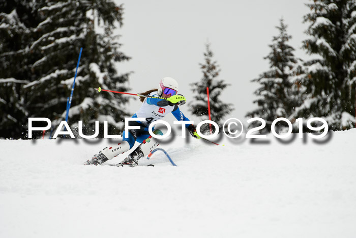 3. BZB Cup SL 13.01.2019, U'gau