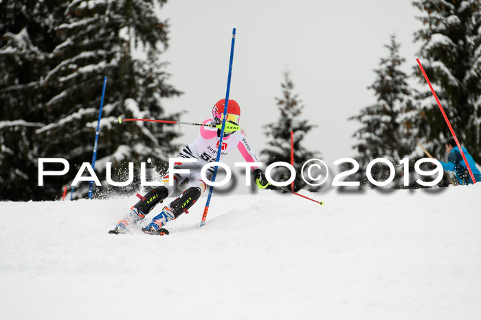 3. BZB Cup SL 13.01.2019, U'gau