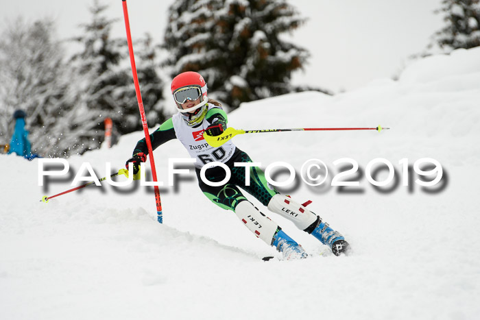 3. BZB Cup SL 13.01.2019, U'gau