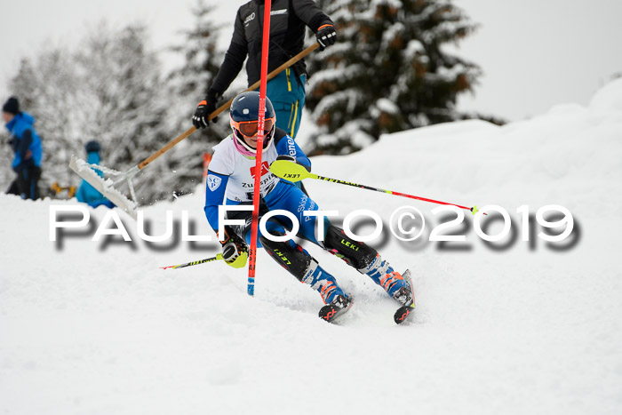 3. BZB Cup SL 13.01.2019, U'gau