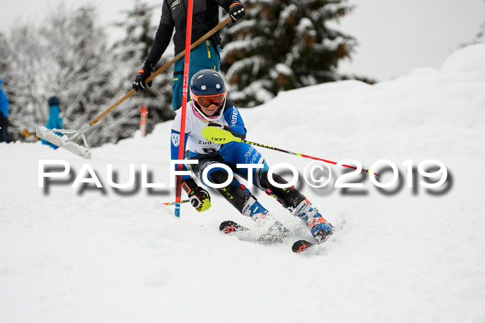 3. BZB Cup SL 13.01.2019, U'gau