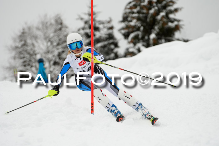 3. BZB Cup SL 13.01.2019, U'gau