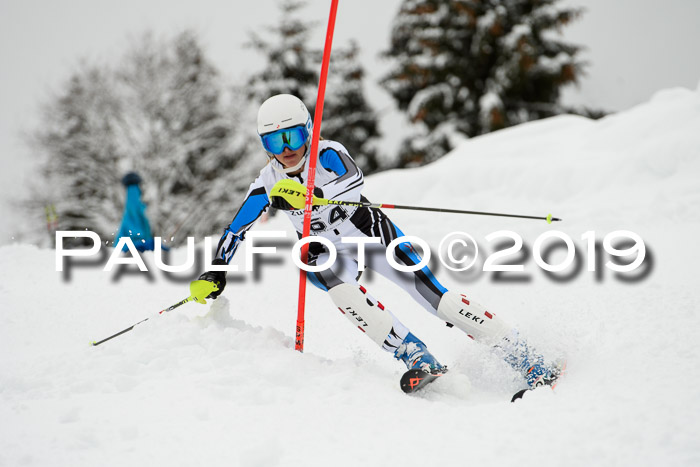 3. BZB Cup SL 13.01.2019, U'gau