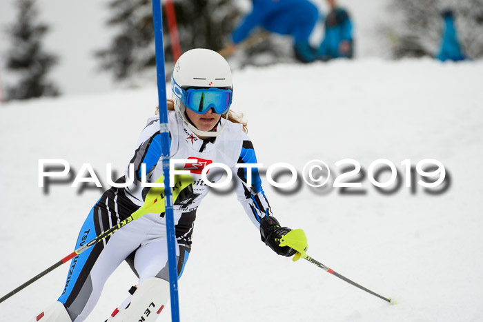3. BZB Cup SL 13.01.2019, U'gau