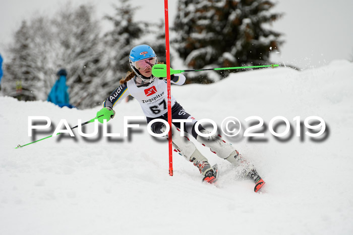 3. BZB Cup SL 13.01.2019, U'gau