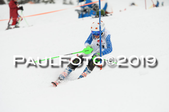 3. BZB Cup SL 13.01.2019, U'gau