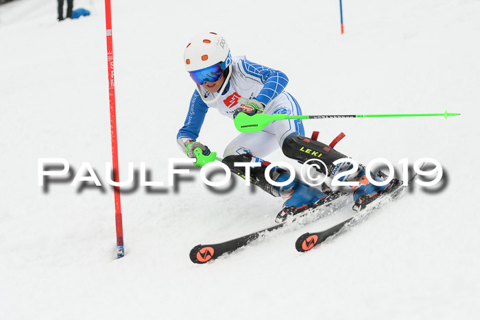 3. BZB Cup SL 13.01.2019, U'gau