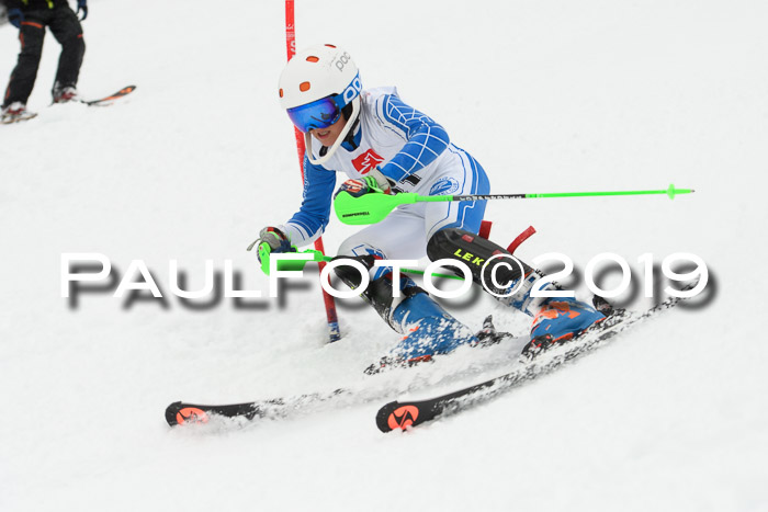 3. BZB Cup SL 13.01.2019, U'gau