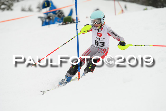 3. BZB Cup SL 13.01.2019, U'gau
