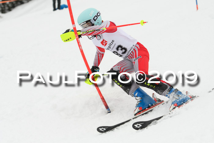 3. BZB Cup SL 13.01.2019, U'gau