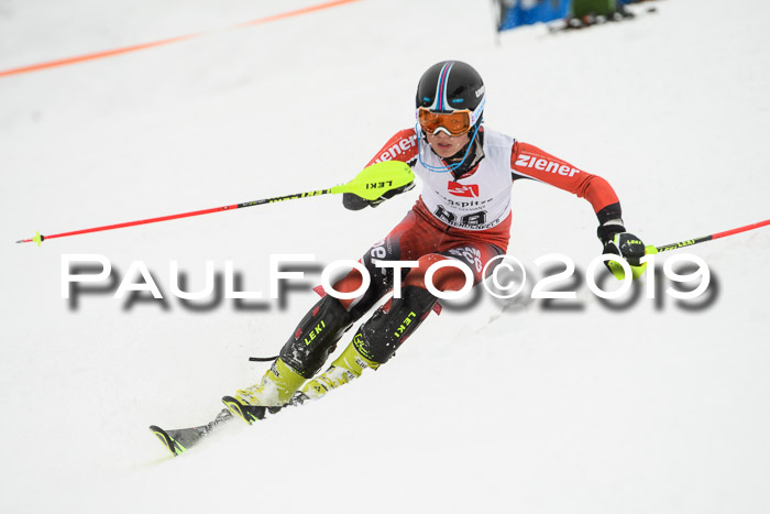 3. BZB Cup SL 13.01.2019, U'gau