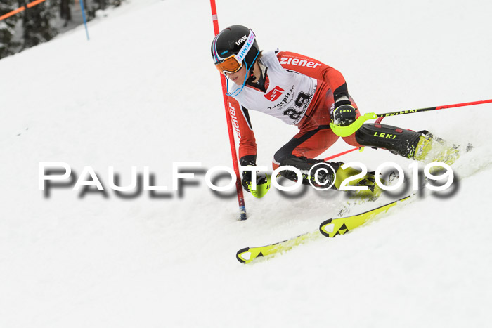3. BZB Cup SL 13.01.2019, U'gau