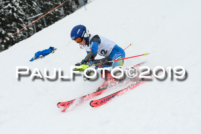 3. BZB Cup SL 13.01.2019, U'gau