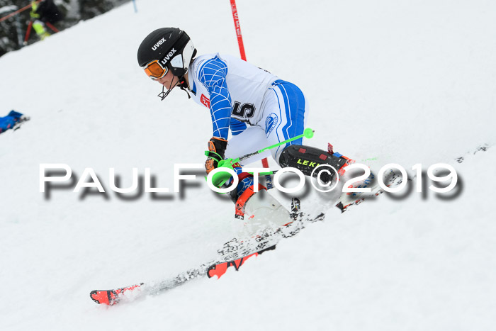 3. BZB Cup SL 13.01.2019, U'gau