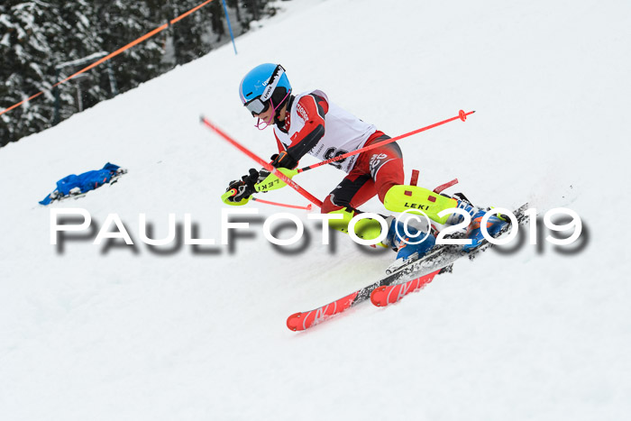 3. BZB Cup SL 13.01.2019, U'gau
