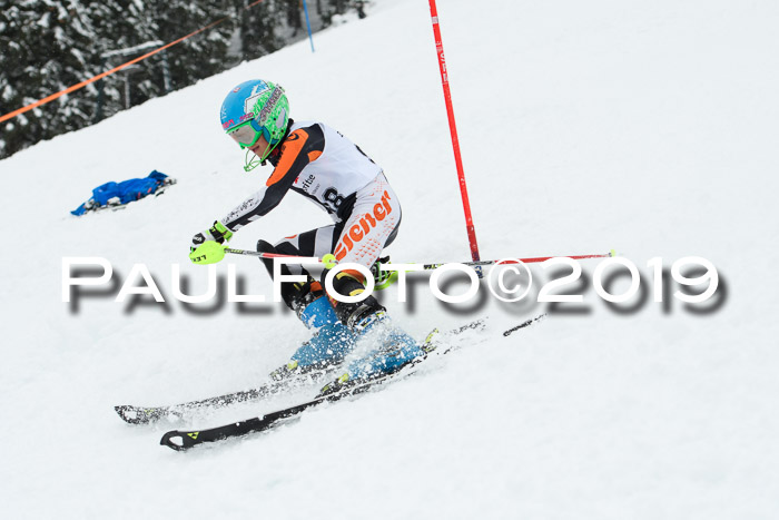 3. BZB Cup SL 13.01.2019, U'gau